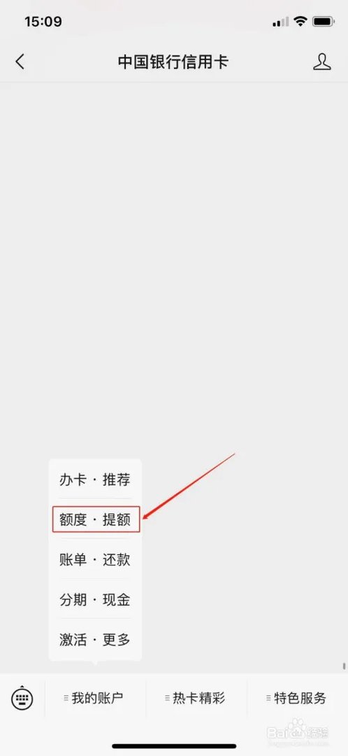 中国银行信用卡查询