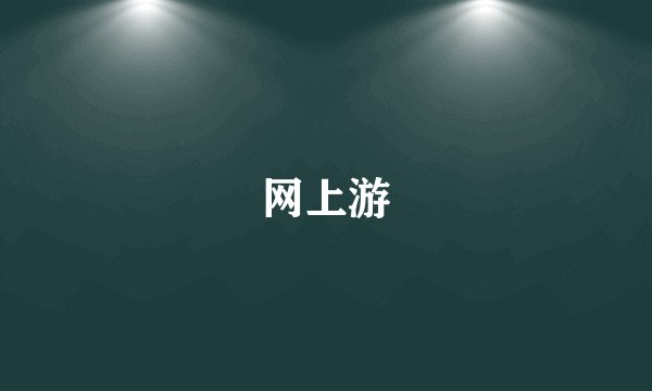 网上游