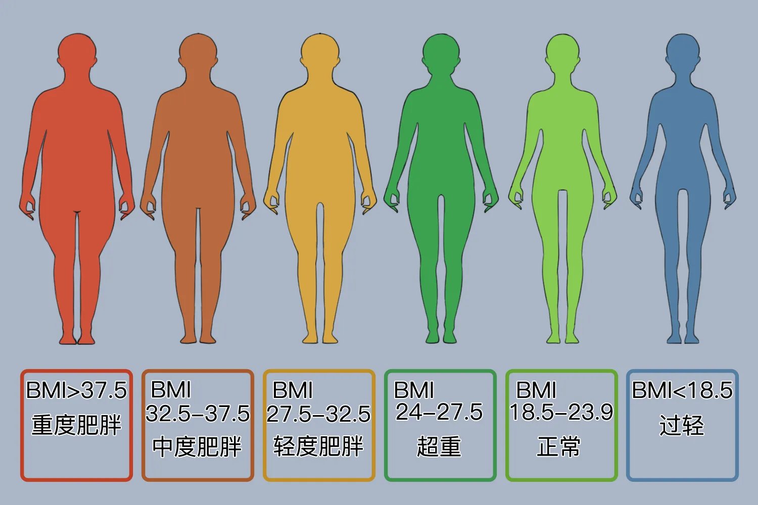 180cm140斤体型图