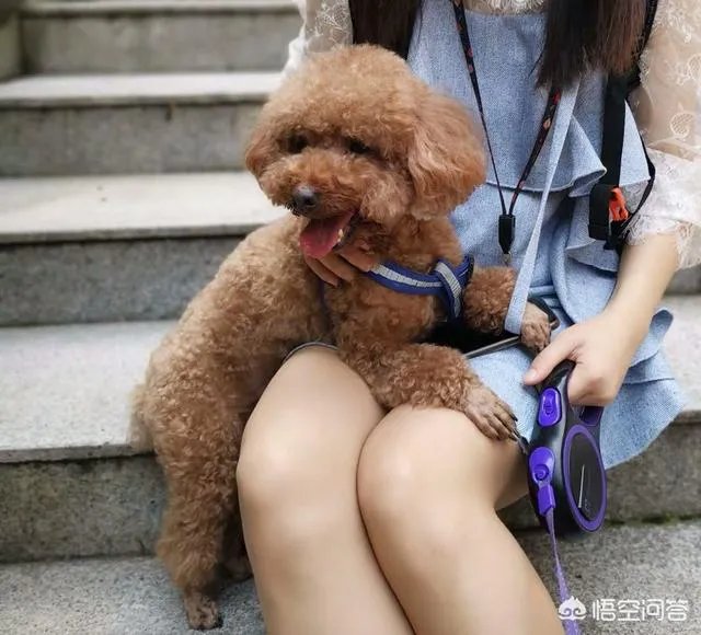 唯品会最近的折扣多吗？