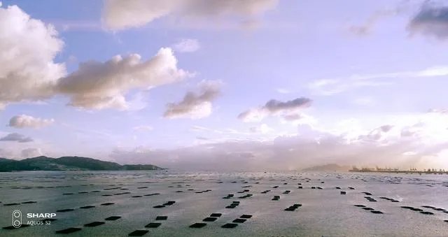 夏普美人尖AQUOS S2手机性价比高吗？