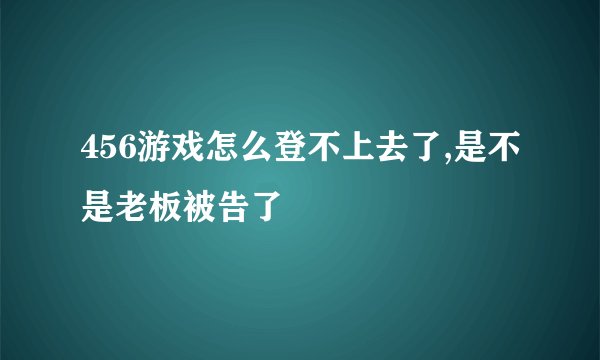 456游戏怎么登不上去了,是不是老板被告了