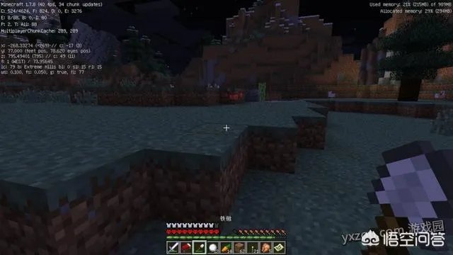 我的世界村民罕见现象