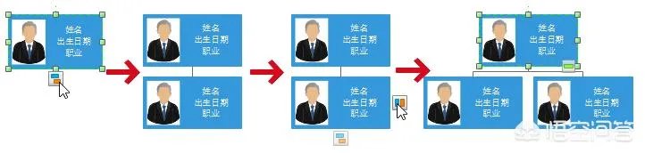 四年级家谱图怎么画？