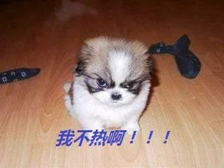 你如何看待「地铁站避暑」?