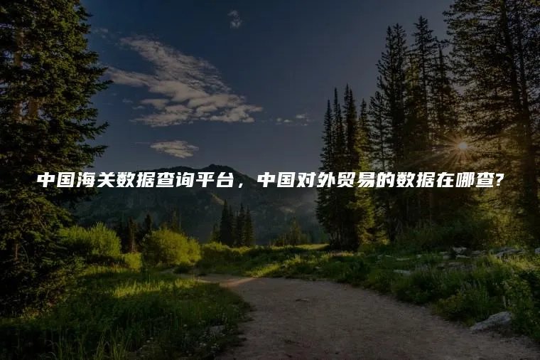 中国海关数据查询平台，中国对外贸易的数据在哪查?