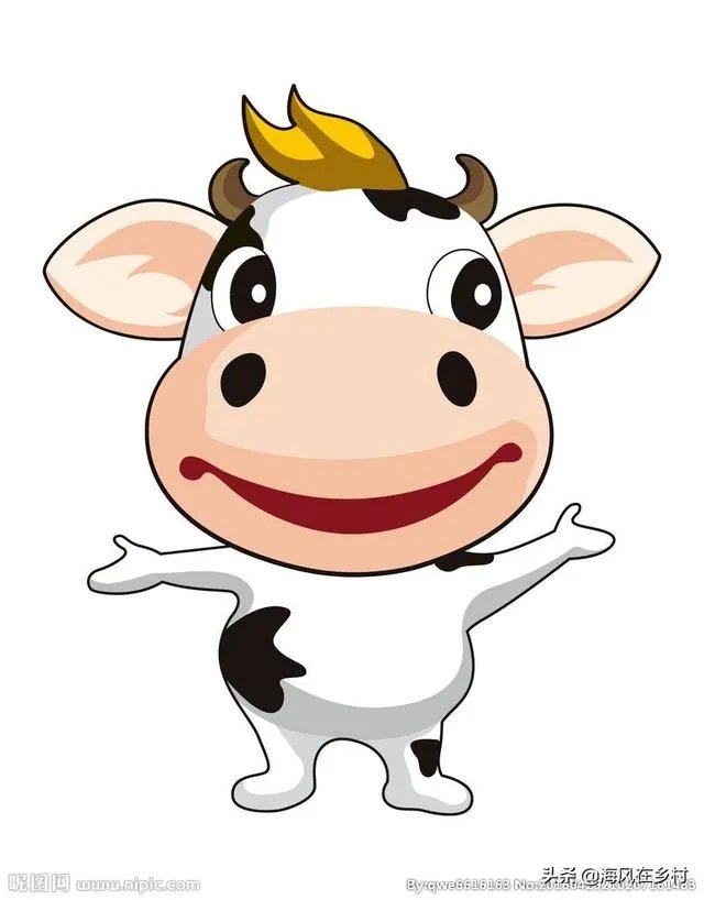 中国畜牧网养牛前景分析