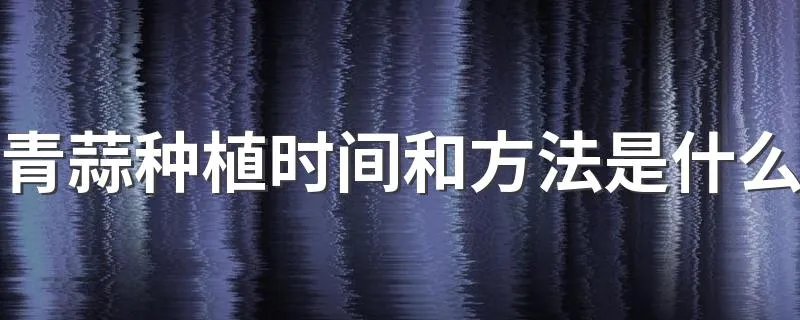青蒜种植时间和方法是什么 青蒜种植技术