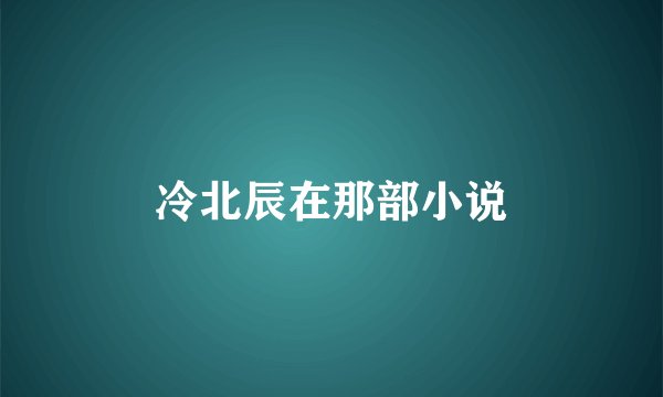 冷北辰在那部小说