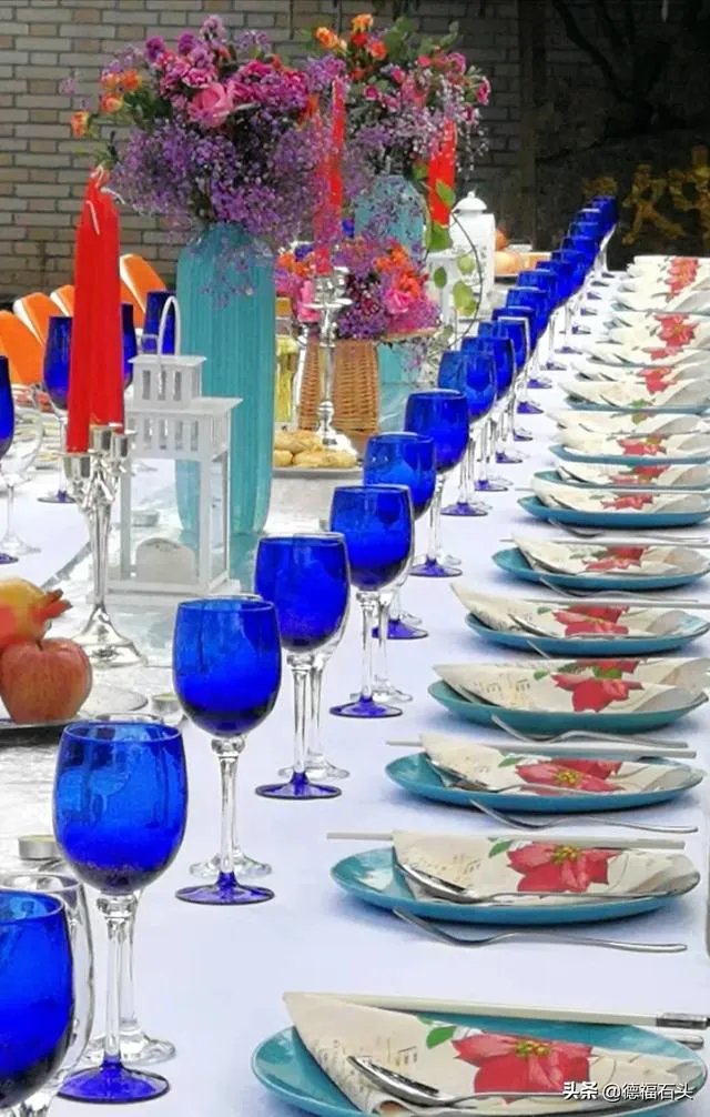 房车旅行可以带猫吗？为什么？