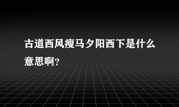 古道西风瘦马夕阳西下是什么意思啊？