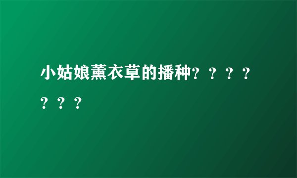 小姑娘薰衣草的播种？？？？？？？