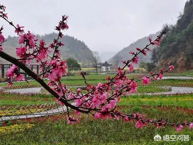 你对江西婺源景区强收卫生费怎么看？