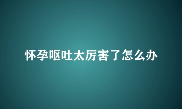 怀孕呕吐太厉害了怎么办