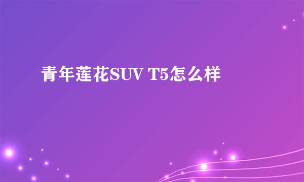 青年莲花SUV T5怎么样
