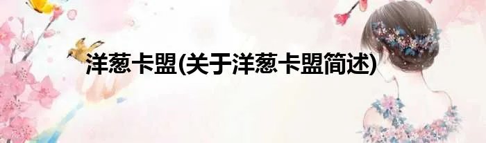 洋葱卡盟(关于洋葱卡盟简述)