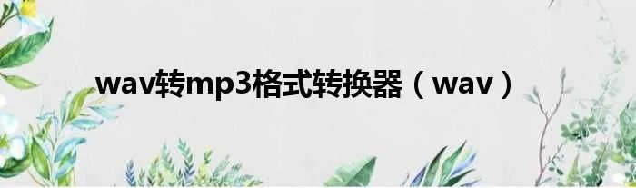 wav转mp3格式转换器(wav)