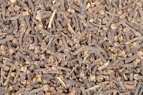 丁香茶能杀死幽门螺杆菌吗