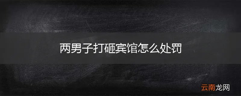 两男子打砸宾馆怎么处罚