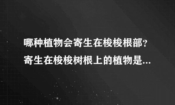 哪种植物会寄生在梭梭根部？寄生在梭梭树根上的植物是什么？蚂蚁庄园今日答案