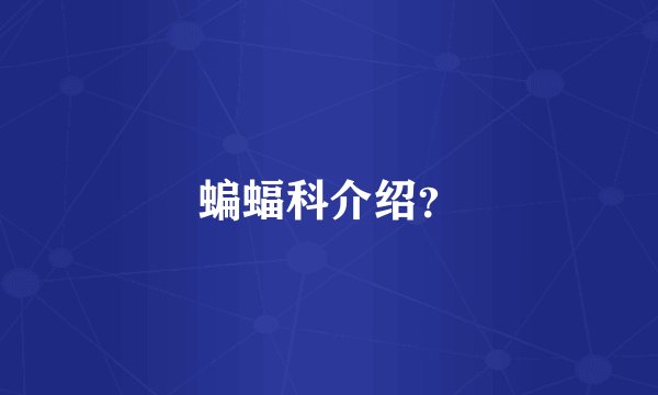 蝙蝠科介绍？
