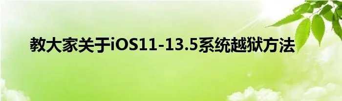 教大家关于iOS11-13.5系统越狱方法