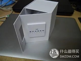 北欧风情 SKAGEN 诗格恩 女式腕表 355SSS1