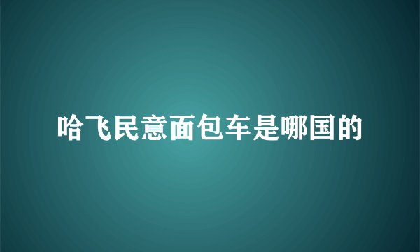 哈飞民意面包车是哪国的