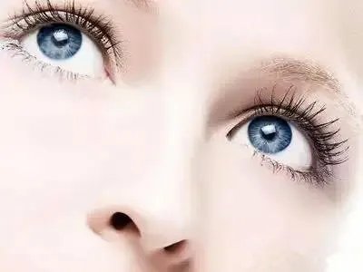 双眼皮胶水该怎样用