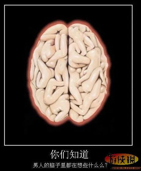 让人瞬间鸡动不已!充满邪恶的镜头的恶搞囧图