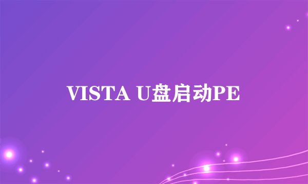 VISTA U盘启动PE