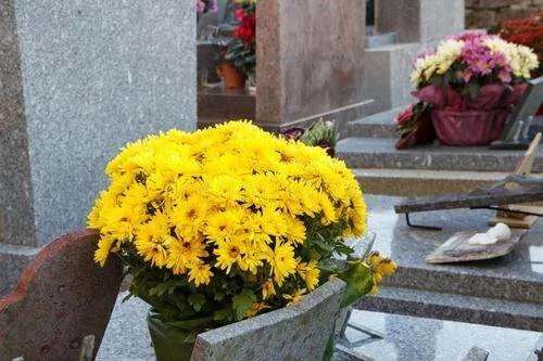 借学区房给亲戚女儿入学被坑,这亲戚为啥敢当白眼狼?