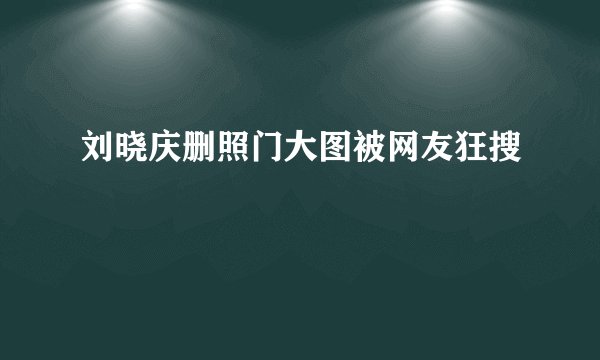 刘晓庆删照门大图被网友狂搜