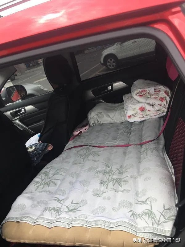 房车旅行可以带猫吗？为什么？