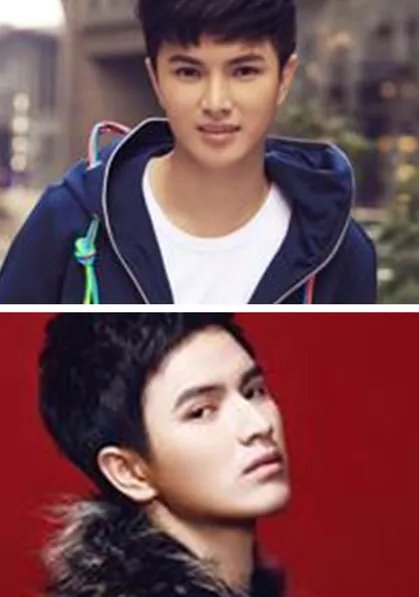 陈炳强的老婆是谁 史上最帅猪刚鬣感情历程令人惊叹