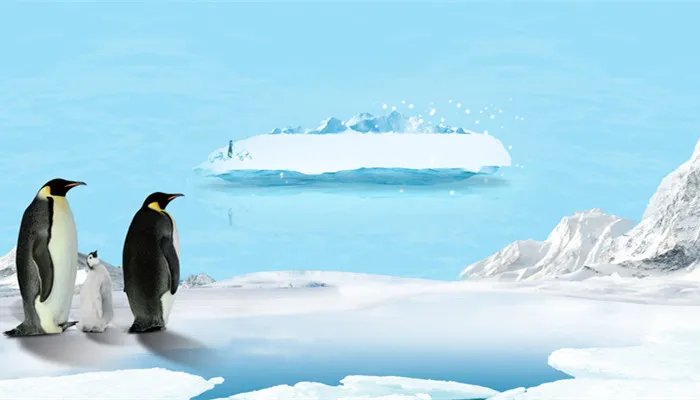 世界上最大的企鹅是什么 世界上最大的企鹅是什么品种