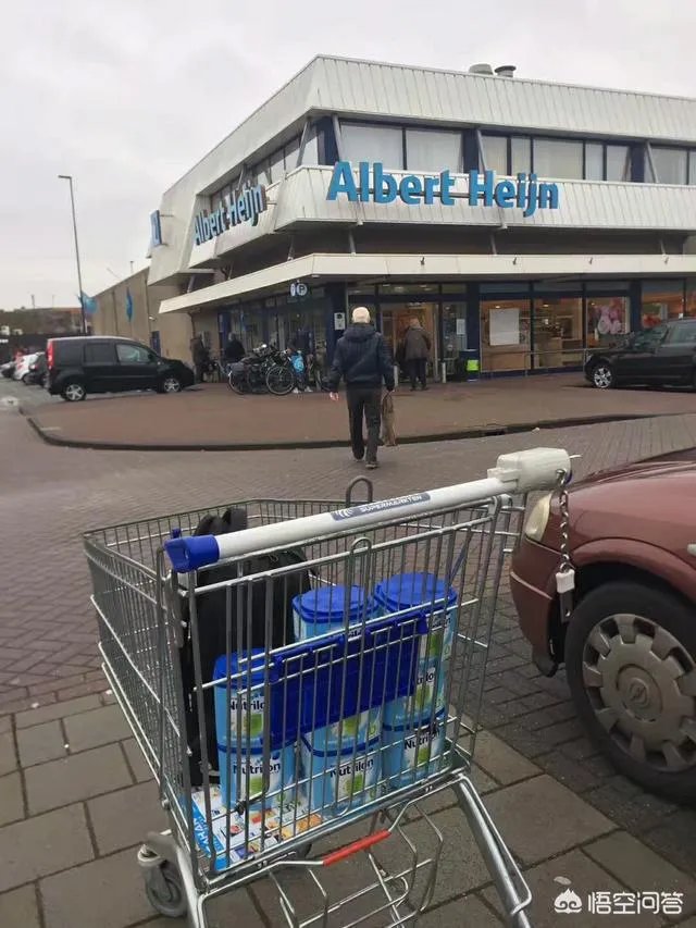 美素佳儿金装奶粉和美赞臣哪个好？都是进口的知名品牌，不知道怎么选？