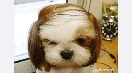 分手看人品,男方索要2万分手费,你怎么看?