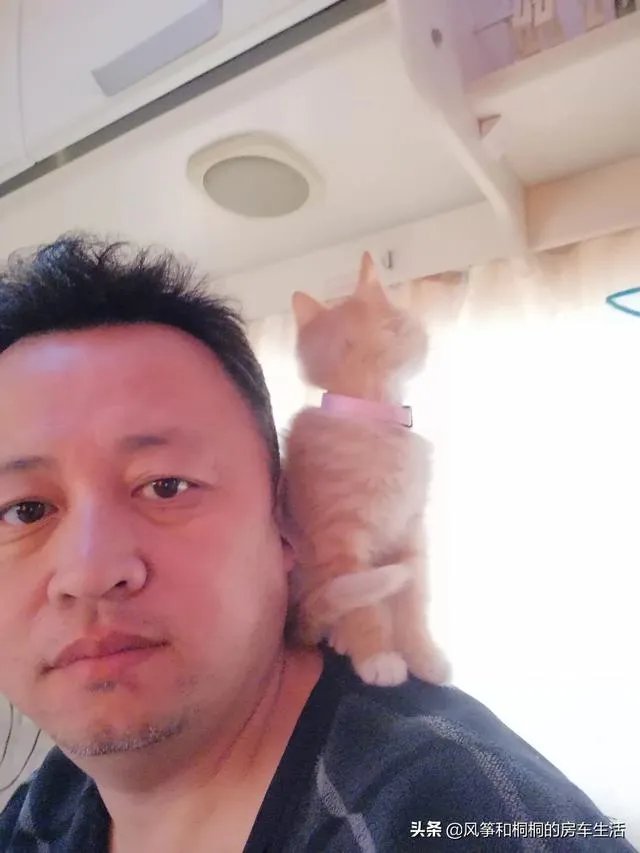 房车旅行可以带猫吗？为什么？