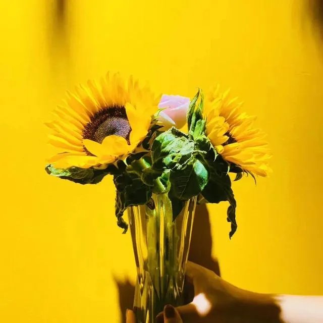 富二代女醉驾肇事致人死亡逃逸被判无期徒刑,她是不是被钱害了?