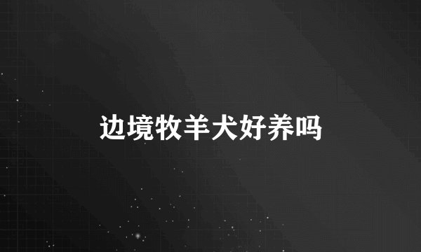 边境牧羊犬好养吗