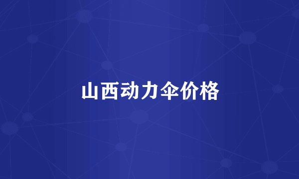 山西动力伞价格