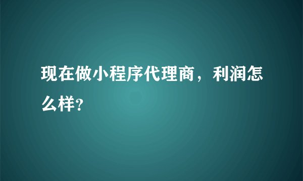 现在做小程序代理商，利润怎么样？