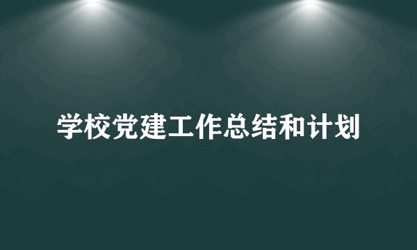 学校党建工作总结和计划