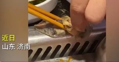 你是如何看待海底捞就塑料乌鸡卷事件道歉的态度和说法的？