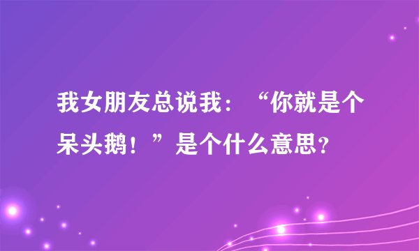 我女朋友总说我:“你就是个呆头鹅!”是个什么意思?