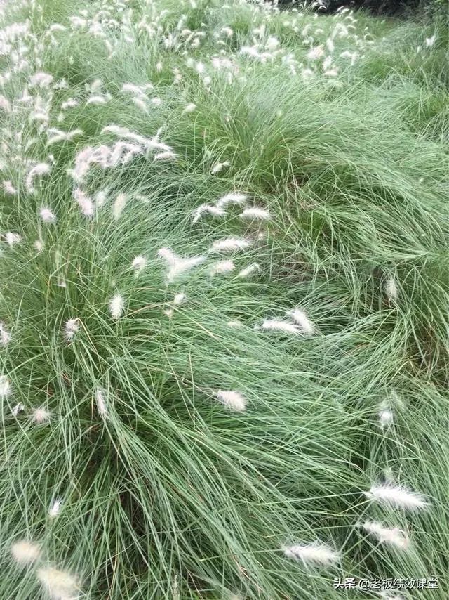 办公室，一些工作累死，一些闲死了，怎么破？