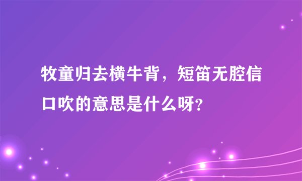 牧童归去横牛背，短笛无腔信口吹的意思是什么呀？
