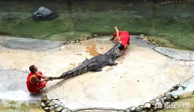 去泰国旅游如何避免被坑？