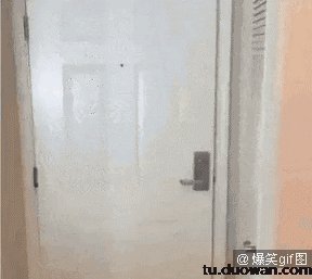 裤子都脱了就给我看这？要优雅不要污的动图